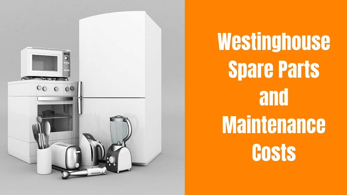 Westinghouse Spare Parts and Maintenance Costs